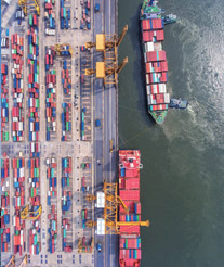 Scope of Sea Freight Import Services