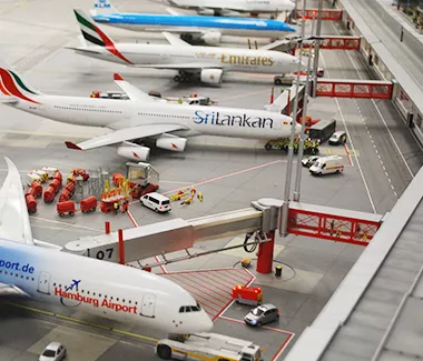 Import & Export Case Studies